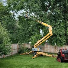 Best Artificial Turf Installation  in Lawrencevle, IL