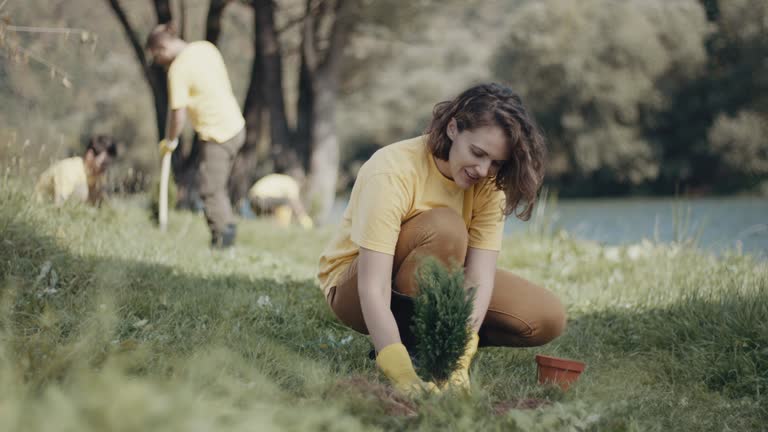 Best Lawn Disease Treatment  in Lawrencevle, IL