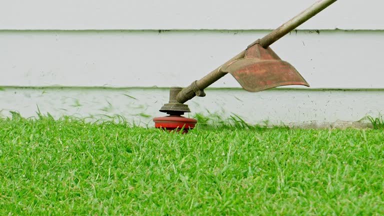 Best Lawn Grading and Leveling  in Lawrencevle, IL