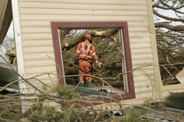 Best Tree and Shrub Care  in Lawrencevle, IL